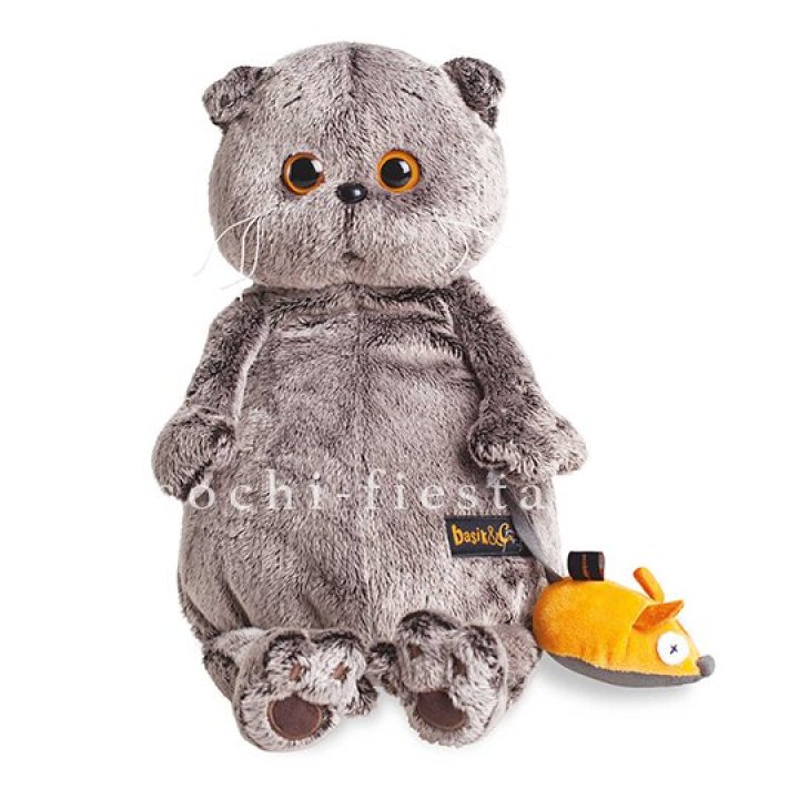 Кот Басик с мышкой в Хосте и Кудепсте