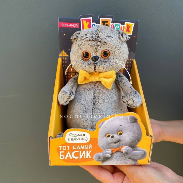 Кот Басик с бабочкой в Хосте и Кудепсте