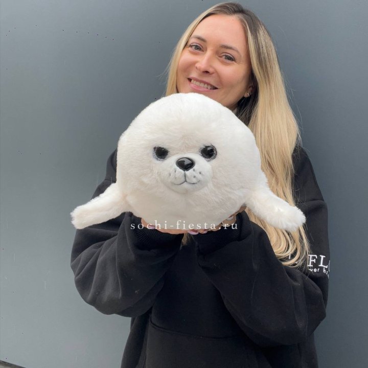 Мягкая игрушка Морской Котик в Хосте и Кудепсте