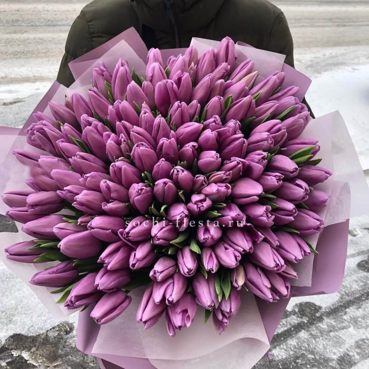 101 сиреневый тюльпан в Хосте и Кудепсте