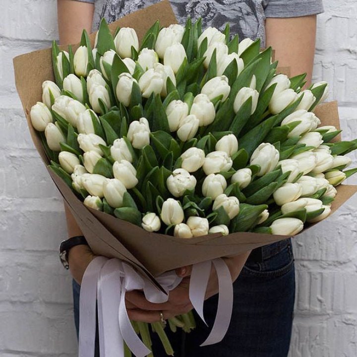 101 тюльпан SNOW в Хосте и Кудепсте