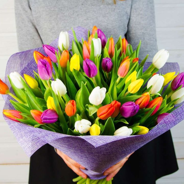 51 тюльпан Rainbow в Хосте и Кудепсте