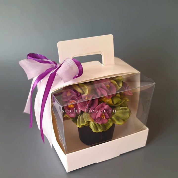  Зефир "Фиалка" в Хосте и Кудепсте