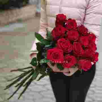15 высоких красных роз с доставкой в Хосте и Кудепсте