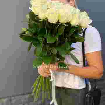 Голландские розы White 25 - купить и заказать в Хосте и Кудепсте