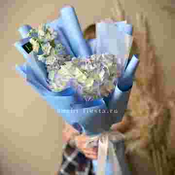 Гортензия "Blue sky" в Хосте и Кудепсте